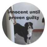 Scooby, innocent until proven guilty stickers