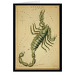Scorpio cards