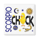 Scorpio Chick 1 magnets