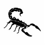 Scorpio Constellation/Zodiac Photo Sculpture photo sculptures