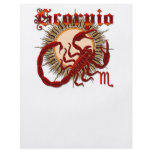 Scorpio-Design-1 flyers
