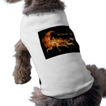 Scorpio Dog Clothing