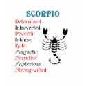 Scorpio Horoscope Zodiac Sign t-shirts