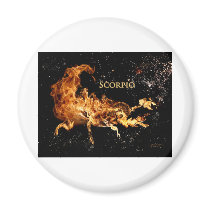 Scorpio Refrigerator Magnets