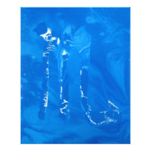 Scorpio Photographic Print