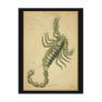 Scorpio