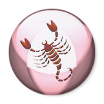 Scorpio Scorpion Magnet