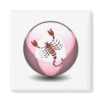 Scorpio Scorpion Square Magnet