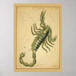 Scorpio (Scorpion) Vintage Sign of Zodiac Image