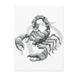 Scorpio the scorpion star or birth sign postcards