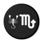 Scorpio with Symbol magnets