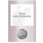 Scorpio Zodiac Star Sign Silver Premium photo sculptures