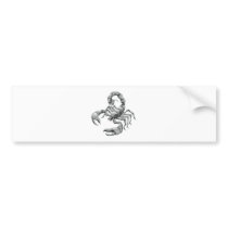 scorpion bumper stickers