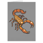 Scorpion cards