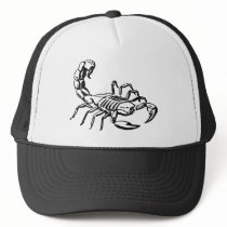 Scorpion