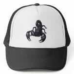 Scorpion hats