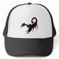 Scorpion Hats