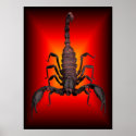 SCORPION OF WAR posters