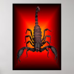 SCORPION OF WAR PRINT