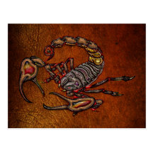 Scorpion Post Card