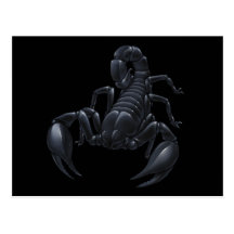 Scorpion Post Cards