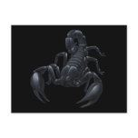 Scorpion postcards