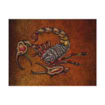 Scorpion Post Card