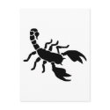 Scorpion postcards