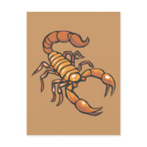 Scorpion Postcard