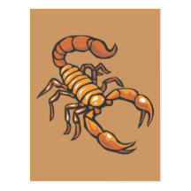Scorpion Postcard