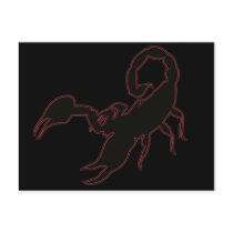 Scorpion Postcards