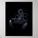 Scorpion posters