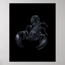 Scorpion Posters