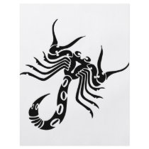 Scorpion Scorpio Custom Flyer
