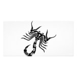 Scorpion Scorpio photo cards