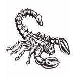 Scorpion t-shirts