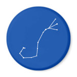 Scorpius Zodiac Magnet