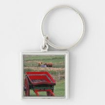 Scotland, Isle of Skye, Kilmuir. Farm animals Keychains