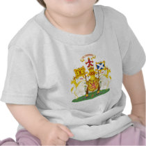 Scotland Official Coat Of Arms Heraldry Symbol