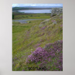 Scotland poster posters