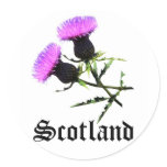 Scotland, thistle round sticker