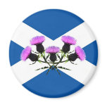 Scotland's flower, thistle magnets