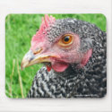 Scots Grey Hen Chicken - Poultry mousepads