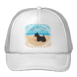 Scottie at the Beach with Seagull Mesh Hats