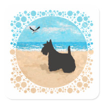 Scottie at the Beach with Seagull