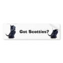 Scottie - Got Cookies? bumper stickers