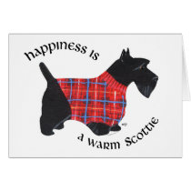 Scottie in Red & Blue Plaid Sweater
