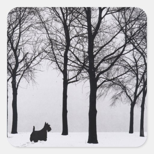 Scottie in Snowy Woods Sticker