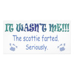 Scottie photo cards