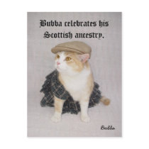 Scottish Bubba